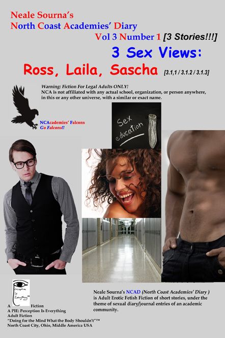 ebook cover NCAD 3.1 Ross, Laila, Sascha